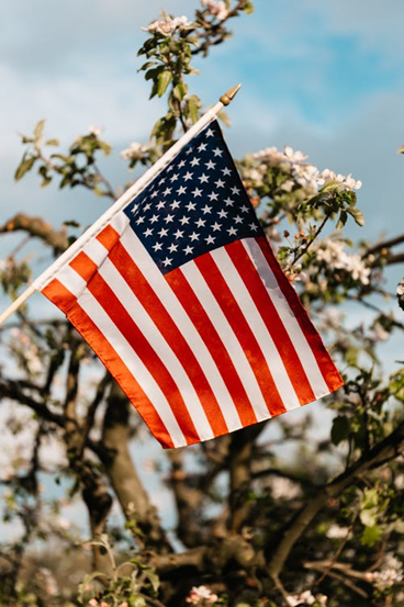 proper disposal of american flag picture